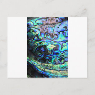 Abalone paua shell postcard