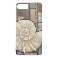 Abalone Shell