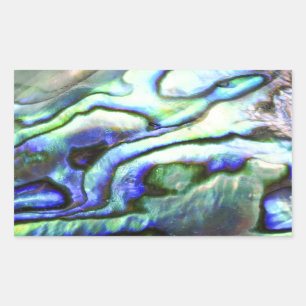 Abalone shell green blue paua rectangular sticker