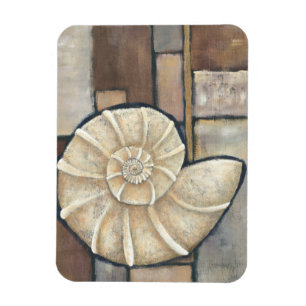 Abalone Shell Magnet