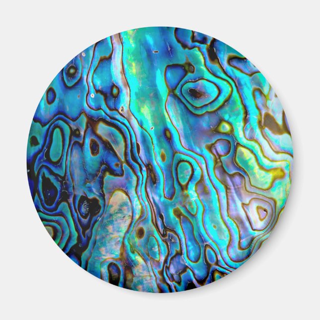 Abalone shell  magnet (Front)