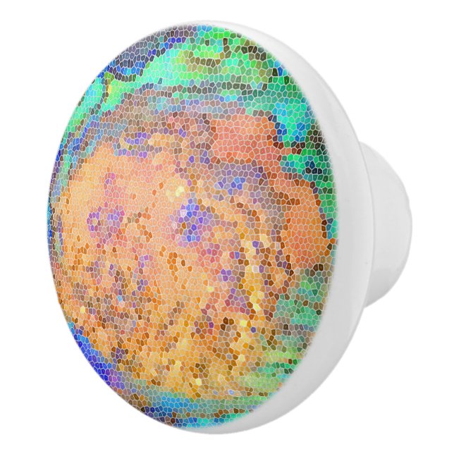 Abalone Shell Mosaic Colourful Abstract Ceramic Knob (Right)
