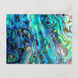 Abalone shell postcard