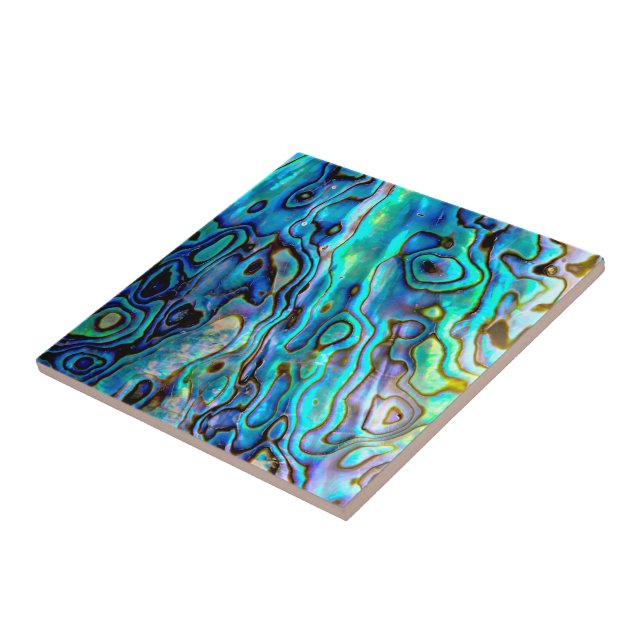 Abalone shell  tile (Side)
