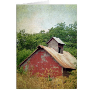 Abandoned and Overgrown Red Barn