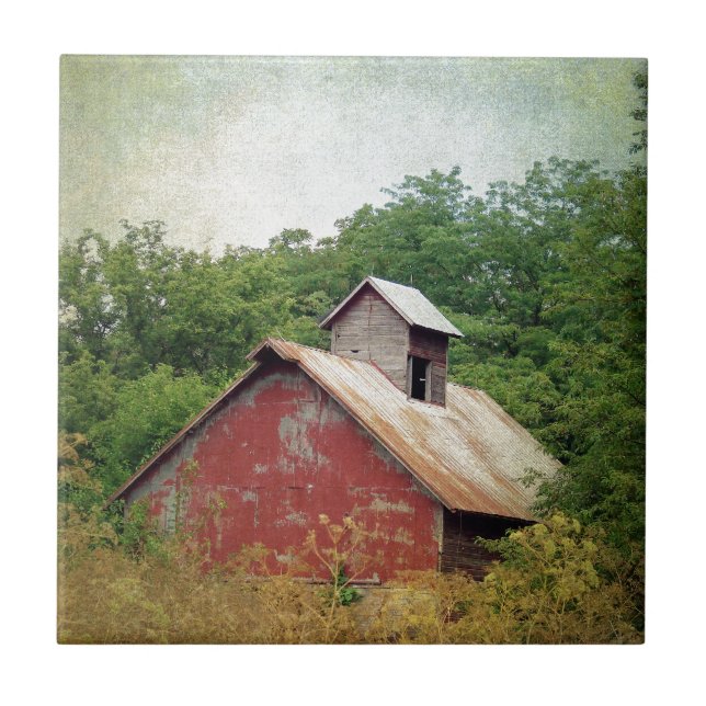Abandoned and Overgrown Tile (Front)