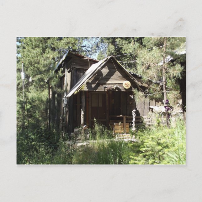 Abandoned Cabin in the Woods Postcard (Front)