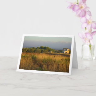 Abandoned Country Farmhouse Landscape Card