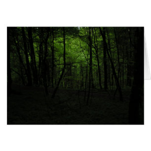 Abandoned dark forest