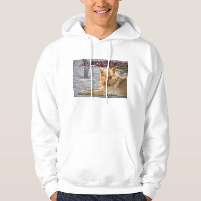 Abandoned Dog Hoodie (Front)