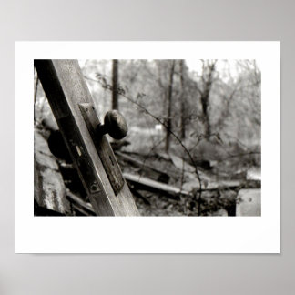 Abandoned Door in the Woods Poster