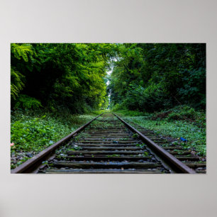 abandoned forest with train tracks poster