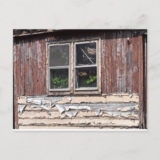 abandoned house with flowers at window postcard