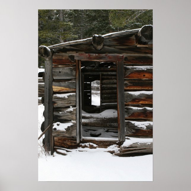 Abandoned Log Cabin, Colorado Poster (Front)