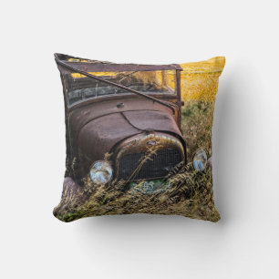 Abandoned old car in tall grass cushion