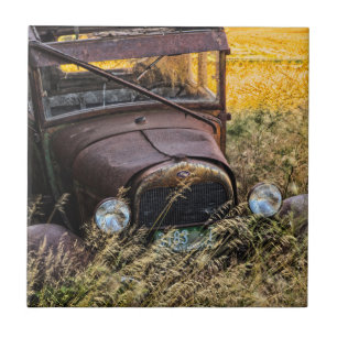 Abandoned old car in tall grass tile