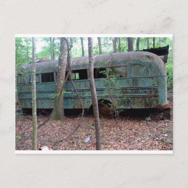 Abandoned Old Green Bus in the Woods Postcard (Front)