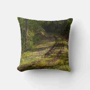 Abandoned Railroad In A Forest Cushion