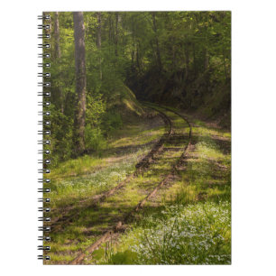 Abandoned Railroad In A Forest Notebook