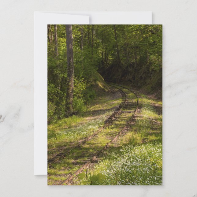 Abandoned Railroad In A Forest Thank You Card (Front)