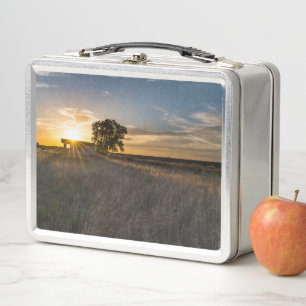 Abandoned Shed Colorado Sunset Lunchbox