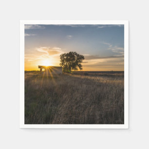 Abandoned Shed Colorado Sunset Paper Napkin