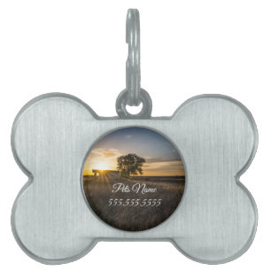 Abandoned Shed Colorado Sunset Pet Tag