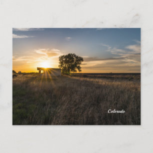Abandoned Shed Colorado Sunset Postcard