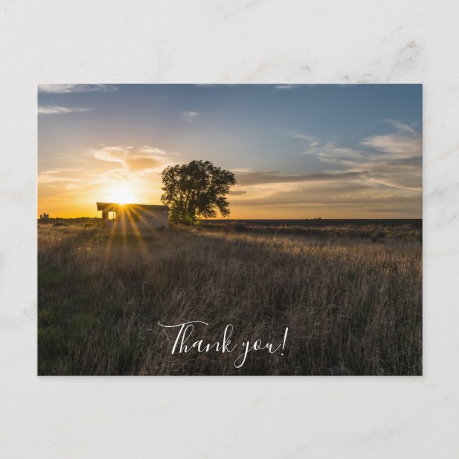 Abandoned Shed Colorado Sunset Thank You Postcard (Front)