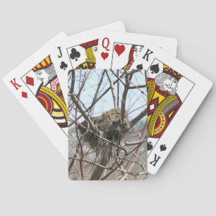 Abandoned Spring Bird Nest Nature Playing Cards