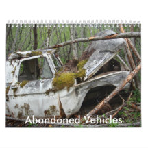 Abandoned Vehicles