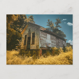 Abandoned Weathered House in Tall Grass Postcard