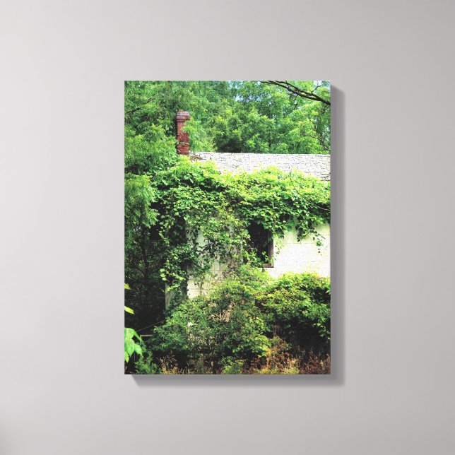 Abandoned White House in the Woods Canvas Print (Front)