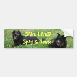 Abbey and Roxy say: SAVE LIVES! Spay & Neuter Bumper Sticker