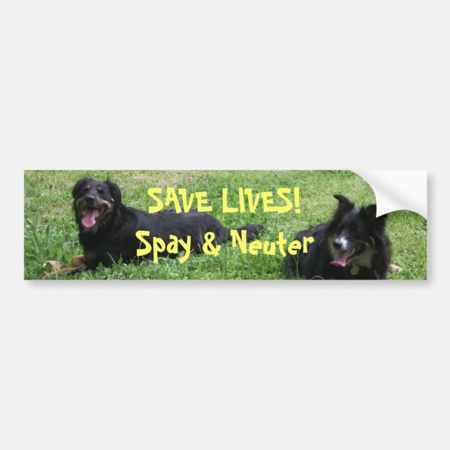 Abbey and Roxy say: SAVE LIVES! Spay & Neuter Bumper Sticker (Front)
