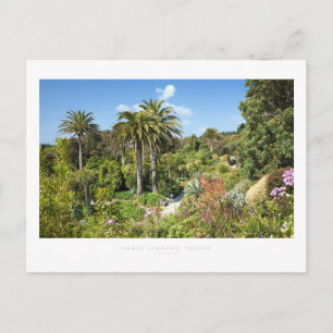 Abbey Gardens, Tresco Postcard