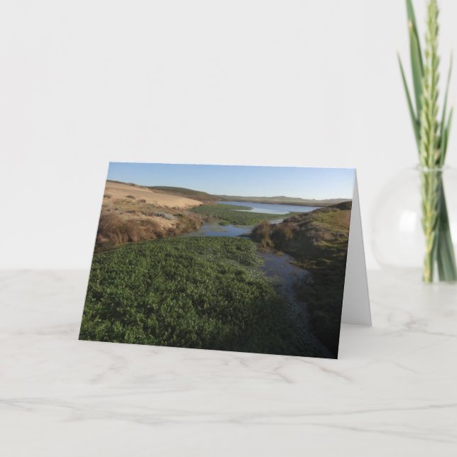 Abbotts Lagoon I at Point Reyes National Seashore Card (Front)