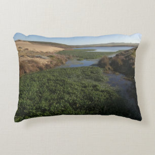 Abbotts Lagoon I at Point Reyes National Seashore Decorative Cushion
