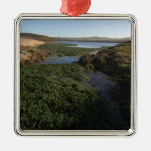 Abbotts Lagoon I at Point Reyes National Seashore Metal Tree Decoration