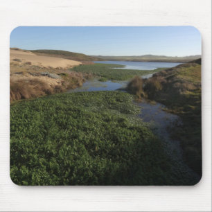 Abbotts Lagoon I at Point Reyes National Seashore Mouse Mat