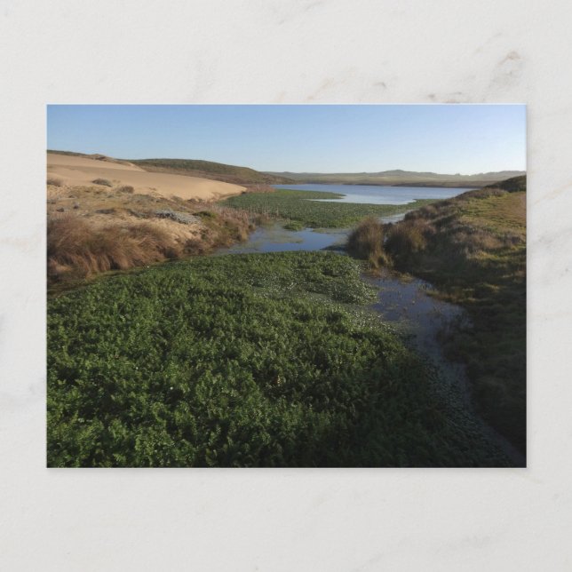 Abbotts Lagoon I at Point Reyes National Seashore Postcard (Front)