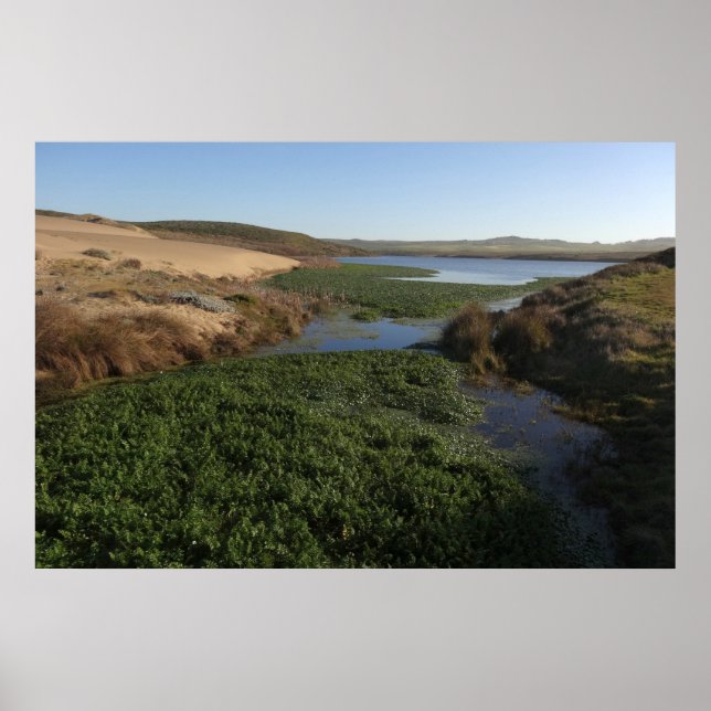 Abbotts Lagoon I at Point Reyes National Seashore Poster (Front)