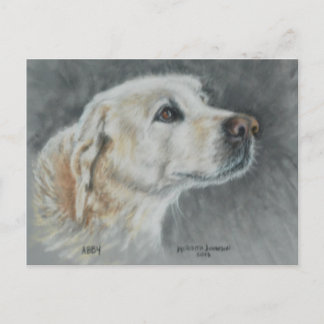 Abby, a true friend. postcard