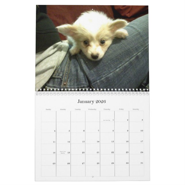 Abby Custom Calendar (Jan 2026)