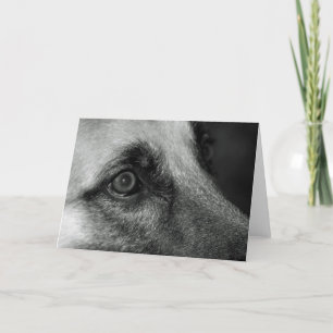 Abby German Shephed Watchful Eye Blank Card