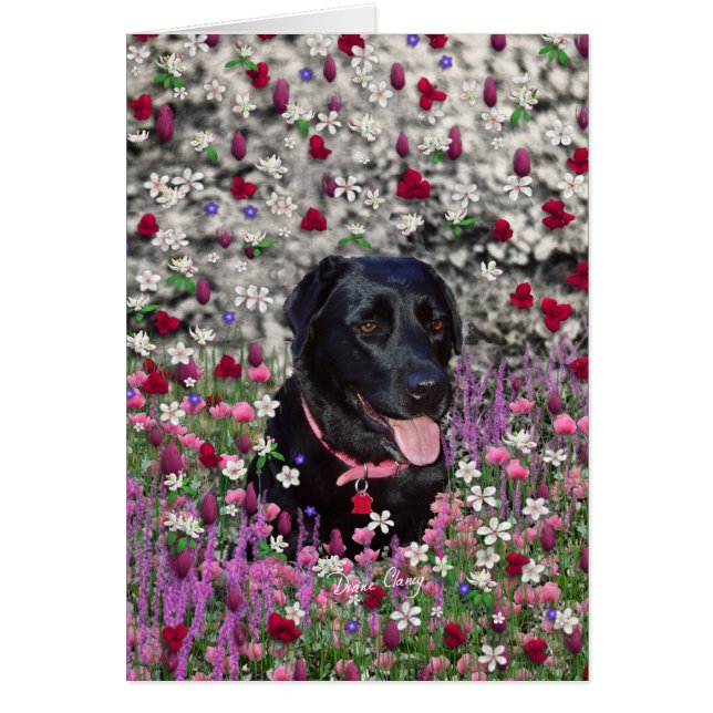 Abby in Flowers – Black Lab Dog (Front)