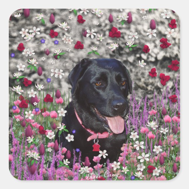 Abby in Flowers – Black Lab Dog Square Sticker (Front)