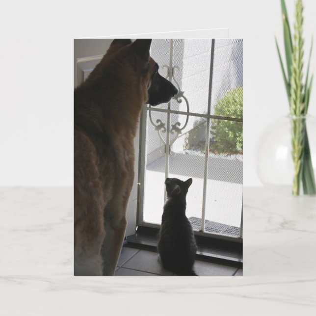 Abby with Zorro Anniversary Card (Front)