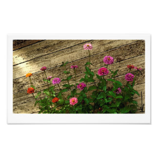 Abby's Flowers Photo Print