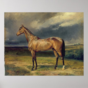 Abdul Medschid' the chestnut arab horse, 1855 Poster